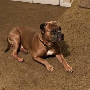 Meet your Posher, Jason